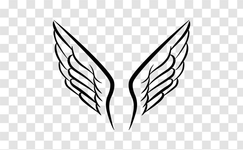 Line Art Drawing Clip - Animation - Wing Vector Transparent PNG