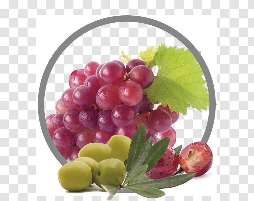 Grape Wine Crisp Food Seedless Fruit - Seed Extract Transparent PNG