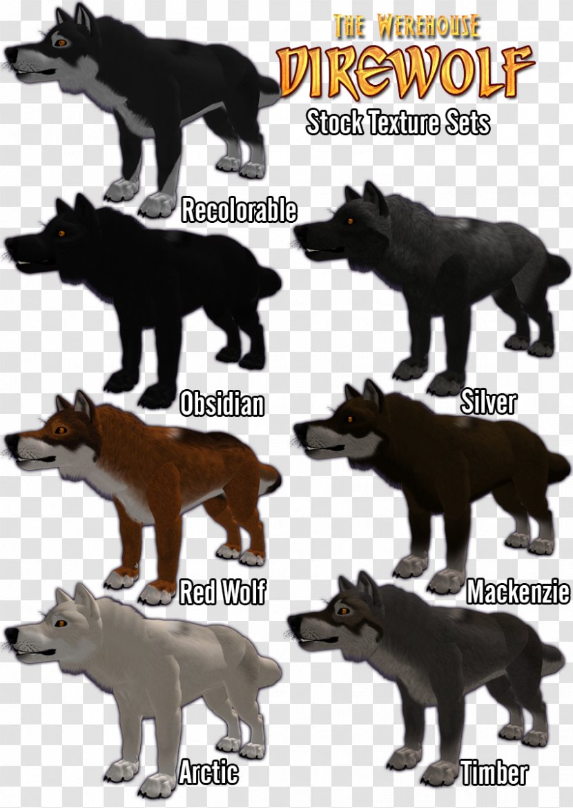 Dog Dire Wolf Pack Animal Homo Sapiens - Eye Transparent PNG