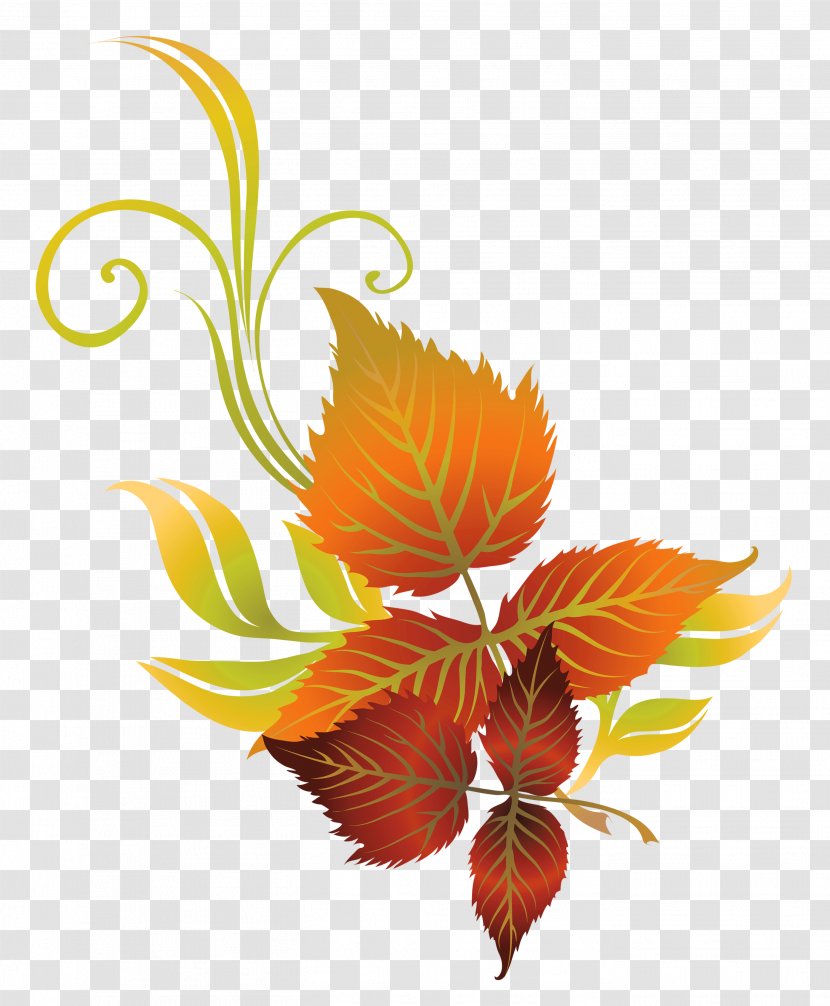 Autumn Leaf Color Clip Art - Illustration - Fall Leaves Deco Clipart Picture Transparent PNG