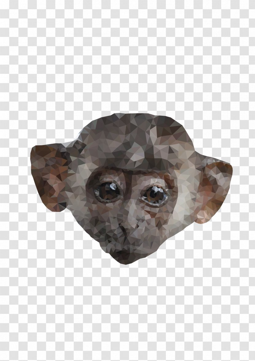 Primate Monkey Ape - Low Poly Transparent PNG