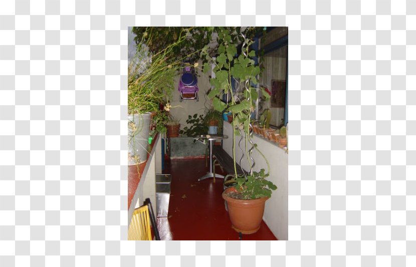 Flowerpot Property Houseplant Herb - Tree - Flower Transparent PNG