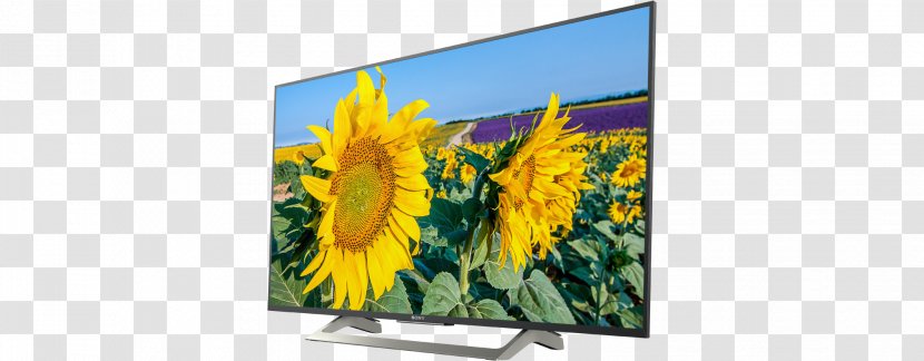 Smart TV Sony Ultra HD 4K WIFI HDR Black Bravia LED-backlit LCD Resolution - Motionflow - Led Tv Image Transparent PNG