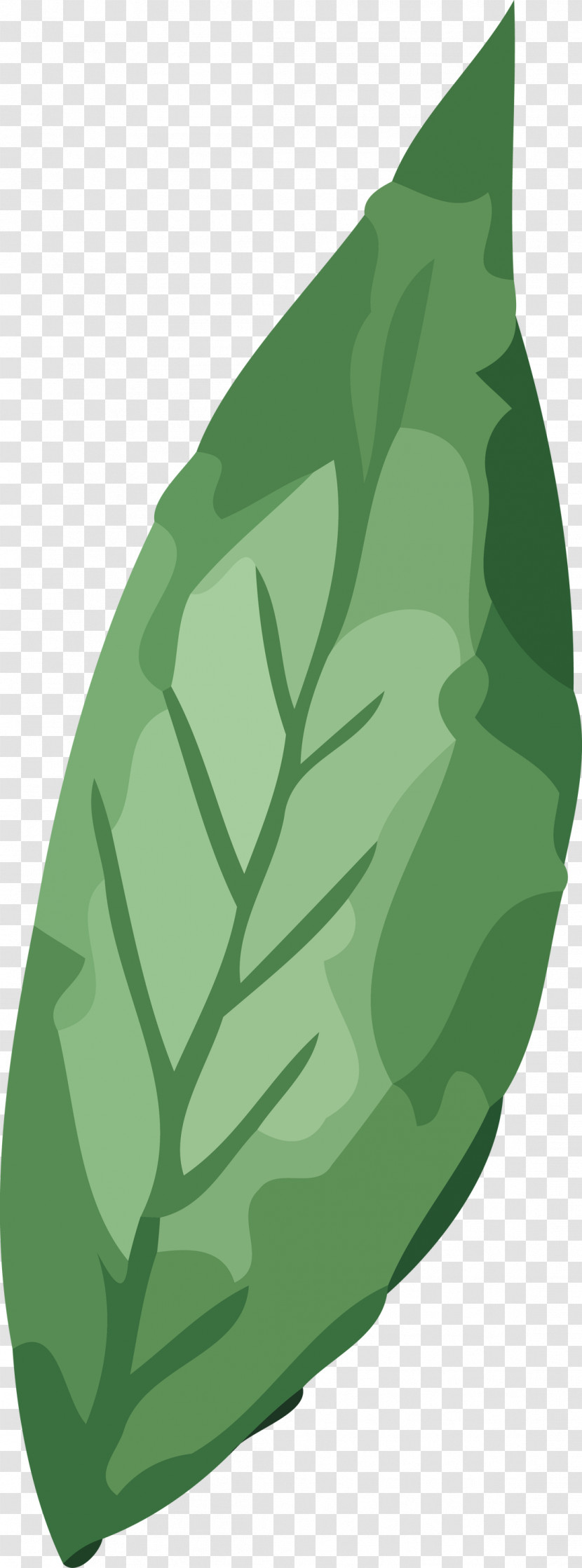 Leaf Vegetable Green Plant Structure Science Transparent PNG