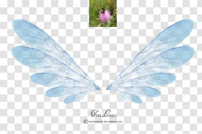 Tinker Bell Fairy Disney Fairies - Wings Transparent PNG