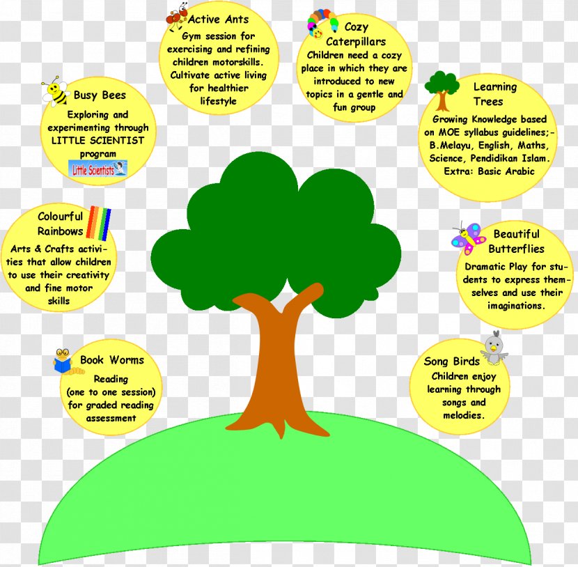 Pre-school Education Child Learning Kindergarten - Leaf Transparent PNG