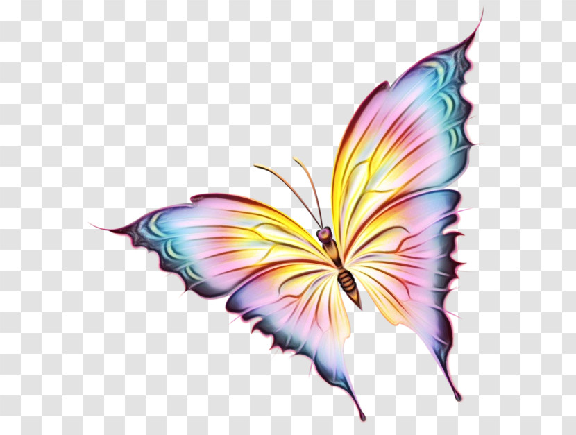 Monarch Butterfly Transparent PNG