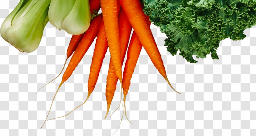 Baby Carrot Fruit Logistica Vegetable Farming Food - Afacere Transparent PNG