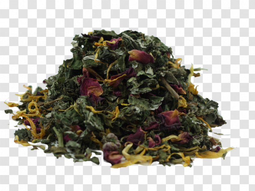 Oolong Nilgiri Tea Herbal Vegetarian Cuisine Transparent PNG