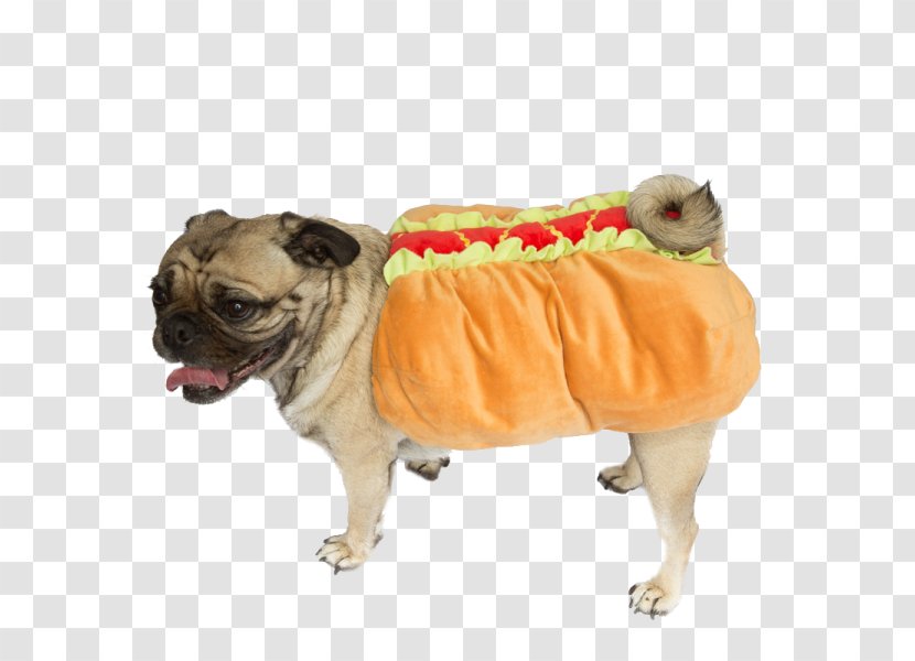 Pug Hot Dog Dachshund Breed Beagle - Pet Clothing Transparent PNG