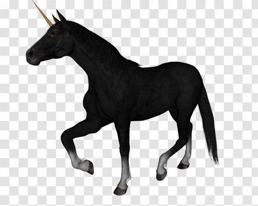 Arabian Horse Rocky Mountain Black Roan Unicorn - Background Transparent PNG