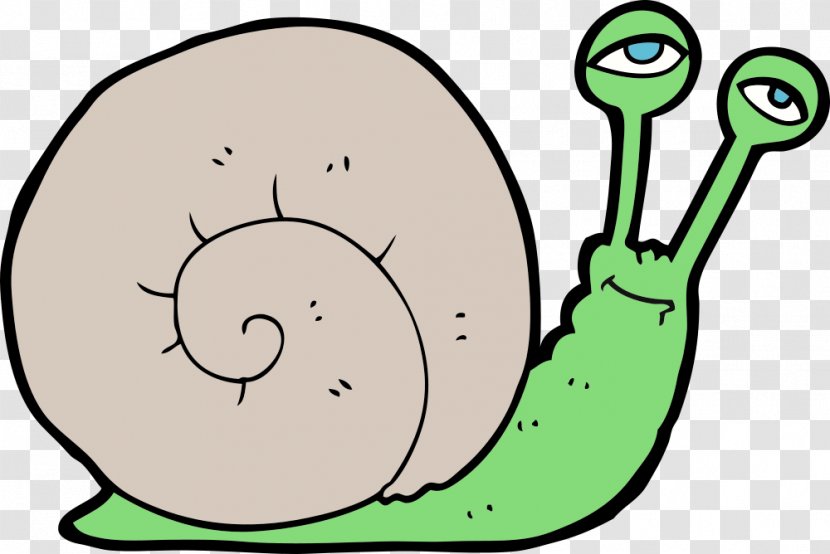 Snail Clip Art Slug Drawing Line - Crayon Transparent PNG