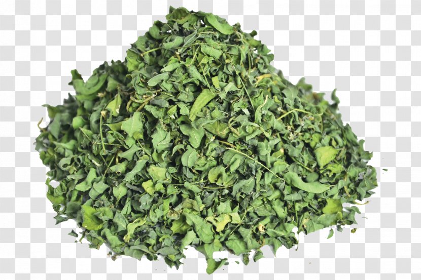 Smoothie Kale Leaf Vegetable Juice - Health Transparent PNG