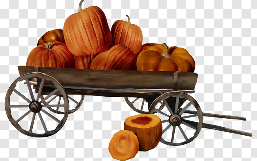 Pumpkin Halloween - Harvest Transparent PNG