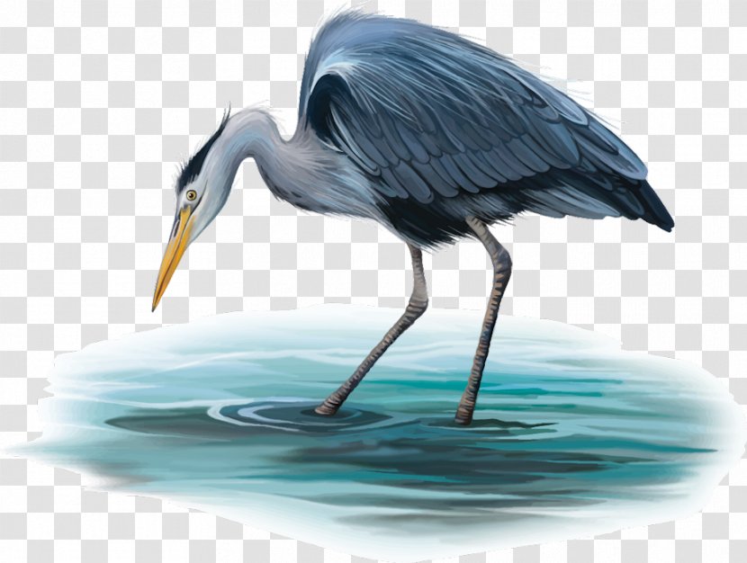 Little Blue Heron Crane Bird Egret Grey - Wing Transparent PNG