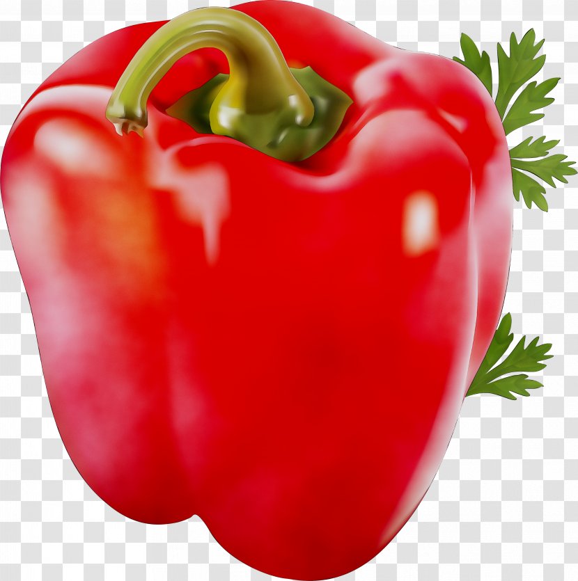 Habanero Piquillo Pepper Cayenne Bell Chili - Vegetable Transparent PNG