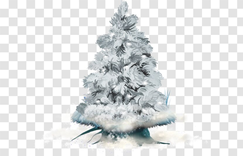 Christmas Tree Winter Fir - Evergreen Transparent PNG