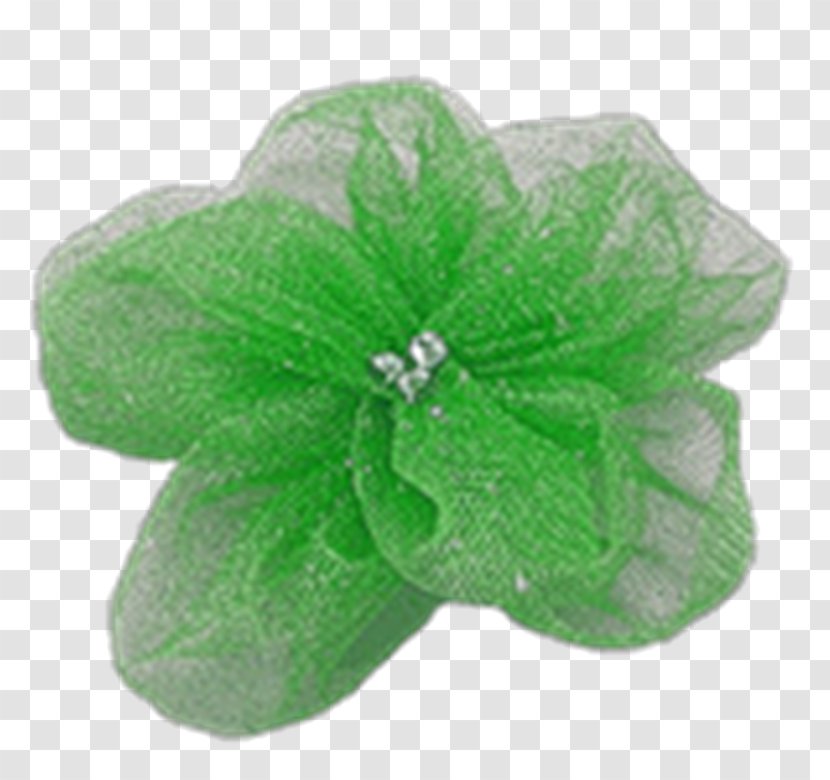 PhotoScape Animaatio Lazo - Green - Lazos Transparent PNG