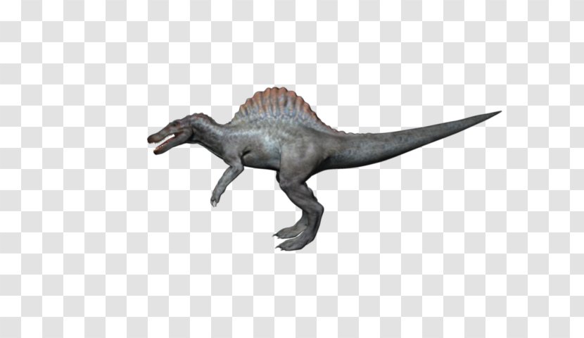 Velociraptor Tyrannosaurus Animal - Figure Transparent PNG