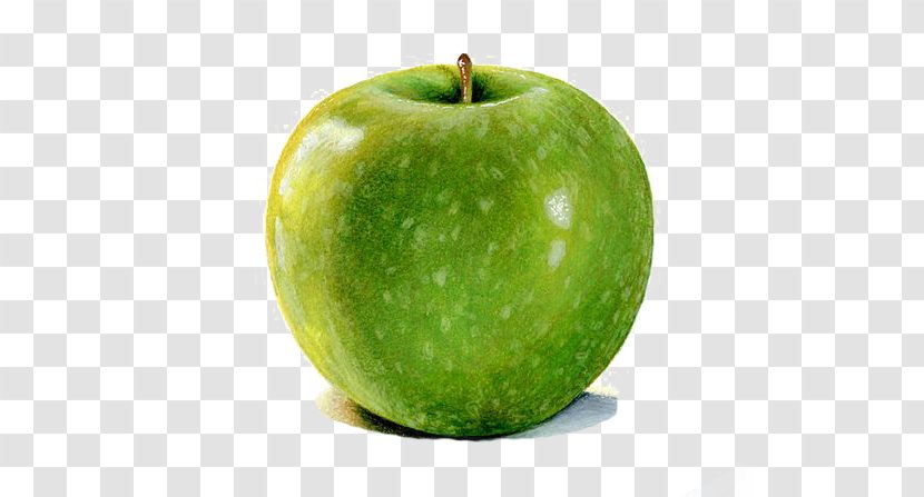 Granny Smith Watercolor Painting Apple Drawing Illustration - Diet Food - Apples Transparent PNG