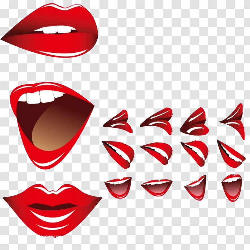 Lip Mouth Euclidean Vector Smile - Flower - Free Red Lips Pull Material Transparent PNG