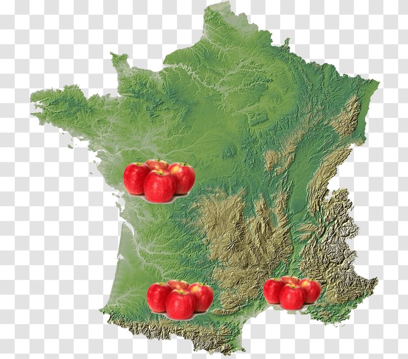 Île-de-France Map Alps Regions Of France - Grass Transparent PNG