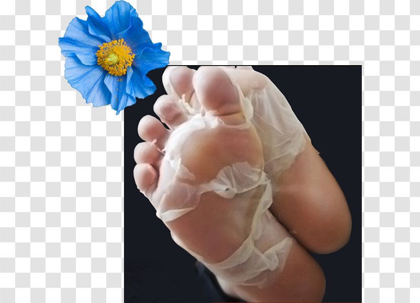 Exfoliation Soft Touch Foot Peel Mask Callus Purederm Exfoliating - Frame - Silhouette Transparent PNG