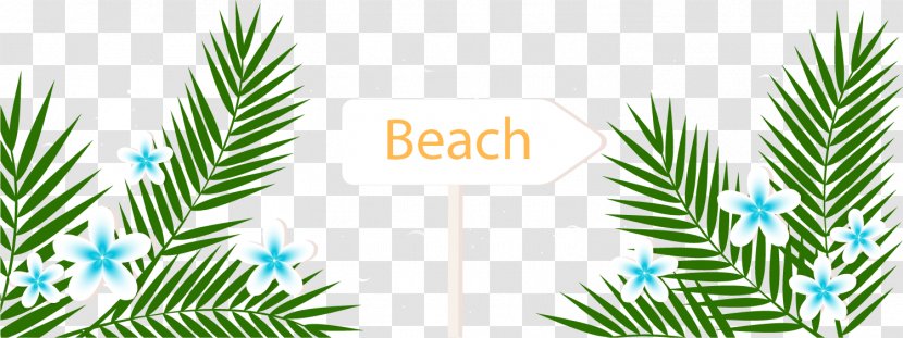 Playa De La Arena Arecaceae Summer Vacation Beach - Spruce - Cartoon Green Leaves Transparent PNG