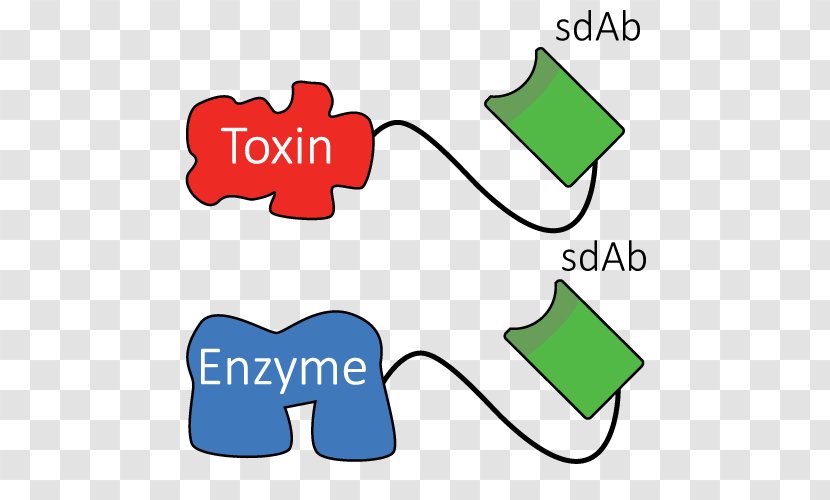 Single-domain Antibody Monoclonal Drug Delivery Toxin - Drug-delivery Transparent PNG