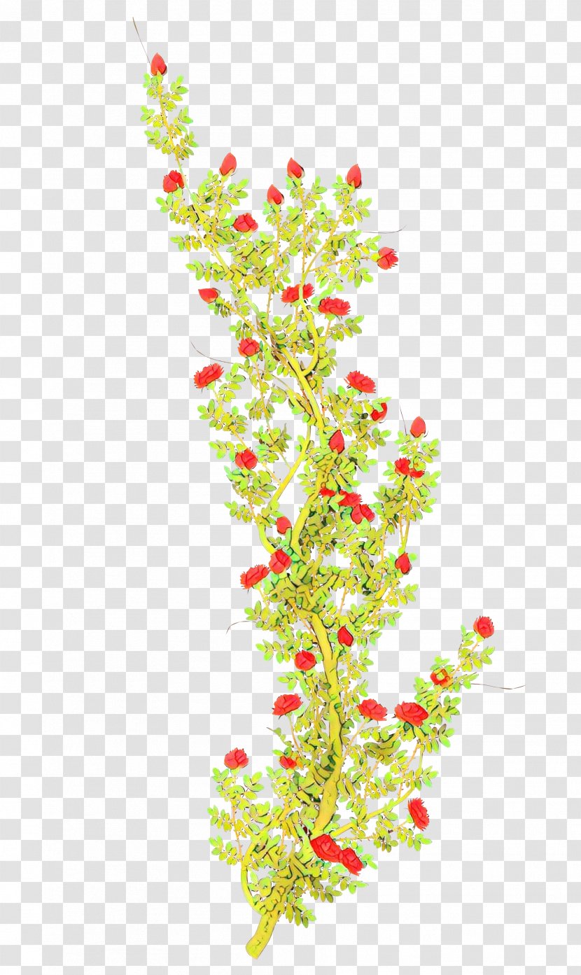 Twig Plant Stem Flower Shrub Leaf - Plants - Pedicel Aquarium Decor Transparent PNG