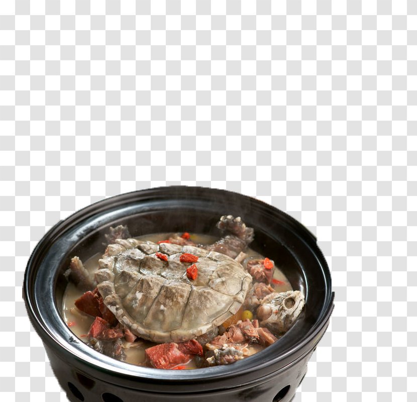 Crocodile Alligator Snapping Turtle Chinese Shark Fin Soup - Braising - Gold Transparent PNG