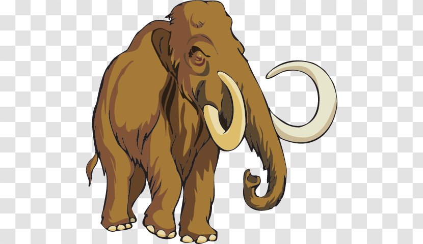 African Elephant Mammoth Site, Hot Springs Lion Woolly Drawing - Terrestrial Animal Transparent PNG