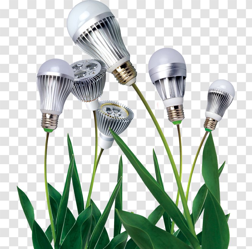 Energy Conservation Advertising Industry Lamp - Energy-saving Lighting Design Transparent PNG