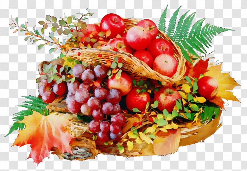 Watercolor Natural - Diet Food - Viburnum Dish Transparent PNG