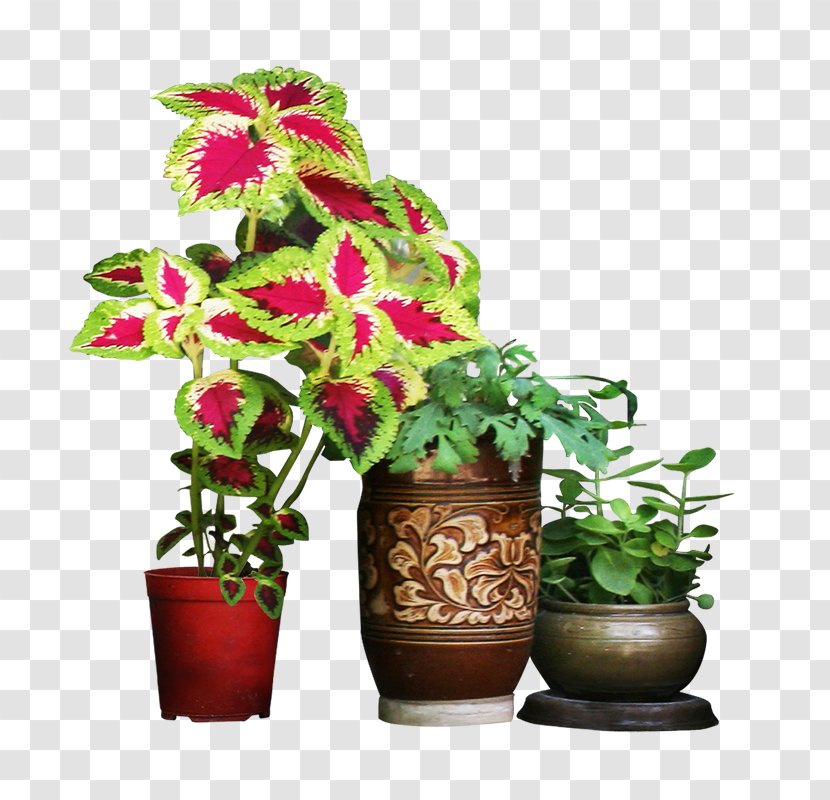 Vase Flowerpot Garden - Artificial Flower - Tree Transparent PNG