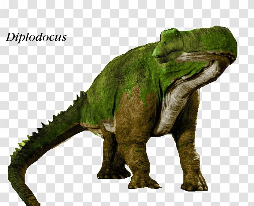 Diplodocus Giganotosaurus Wannanosaurus Megalosaurus Fabrosaurus - Dinosaur Transparent PNG