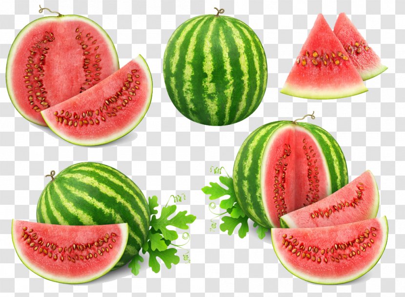 Watermelon Meat Slicer Cantaloupe Fruit - Cucumber Gourd And Melon Family Transparent PNG