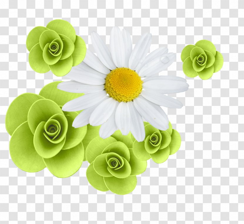 Contagem Flower Rose Clip Art - Cut Flowers - Camomile Transparent PNG