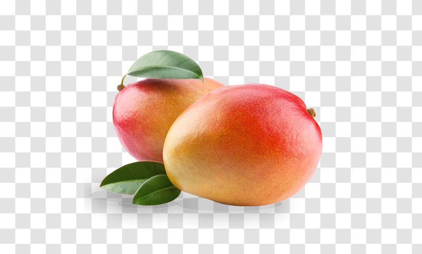 Mango Fruit Clip Art - Apricot - Pulp Transparent PNG