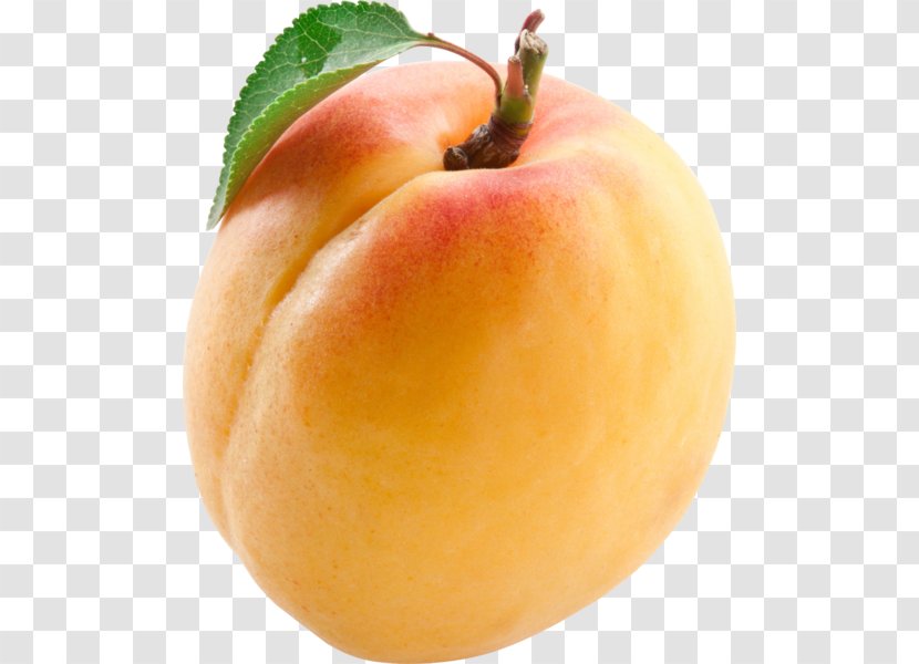 Stock Photography Fruit Apricot Peach Transparent PNG
