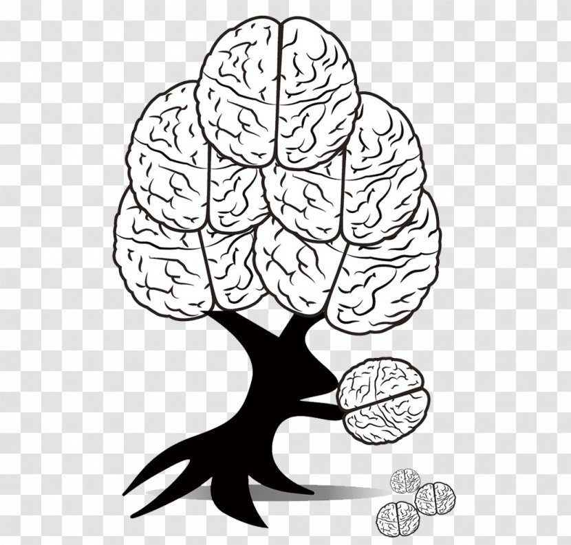 Human Brain Cerebrum Illustration - Tree - Creative Transparent PNG