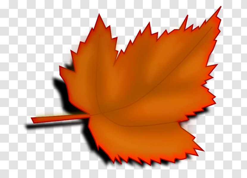 Clip Art Autumn Leaf Color Desktop Wallpaper - Maple Transparent PNG