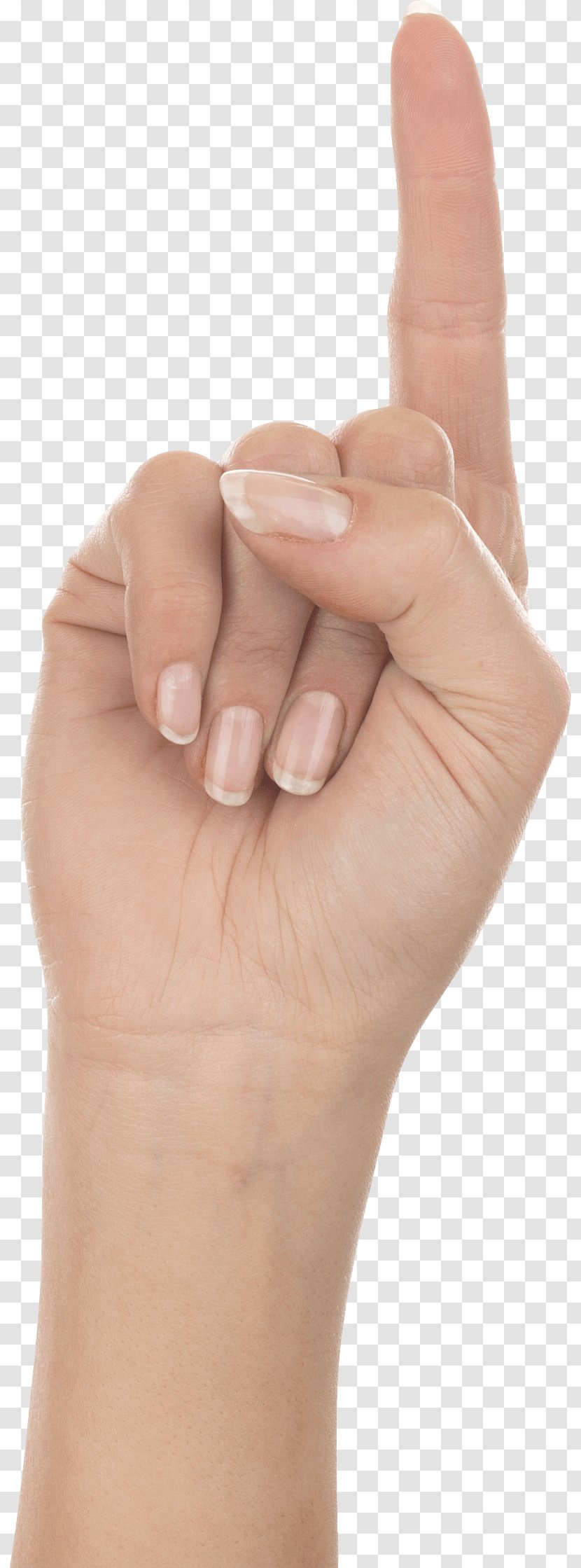 Hand Arm Icon - Resource - Hands Image Transparent PNG