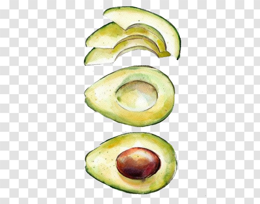 Watercolor Painting Printmaking Drawing Avocado - Hand-painted Transparent PNG