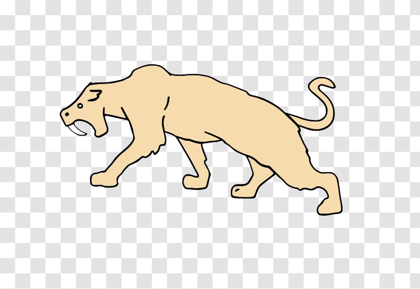 Lion Big Cat Panthera Spelaea Mammal - Pet Transparent PNG