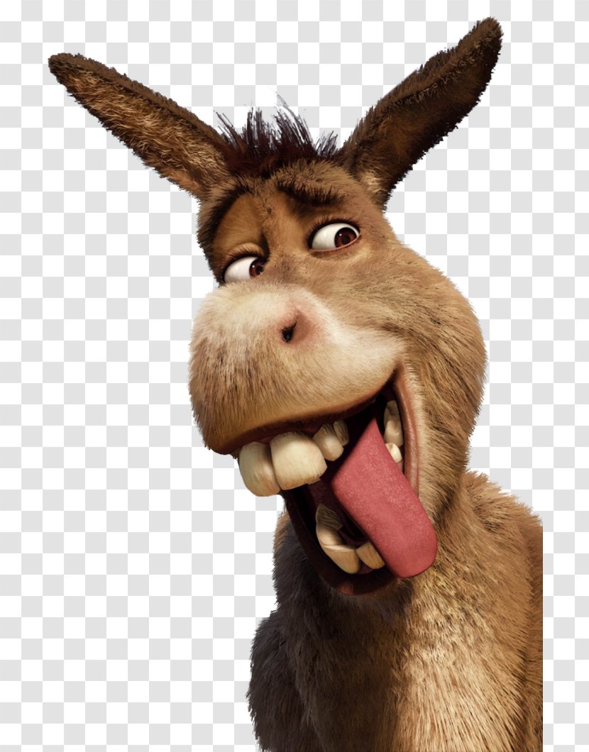 Donkey Princess Fiona Shrek The Musical YouTube Lord Farquaad - 2 Transparent PNG