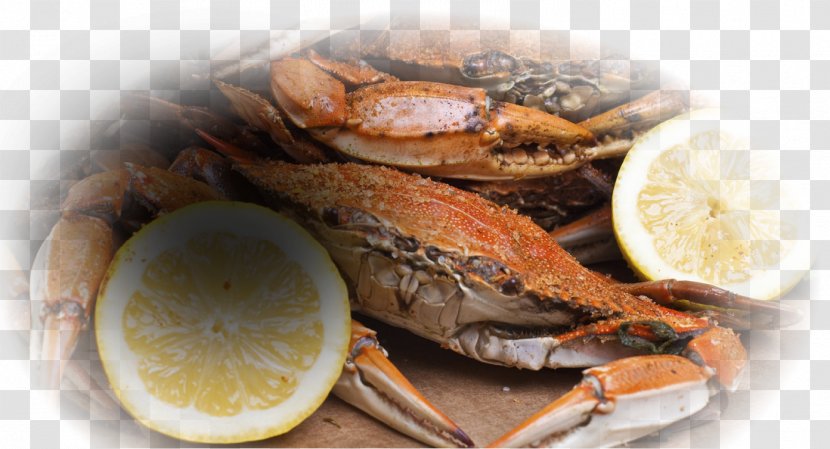 Dungeness Crab Maine Avenue Fish Market Snow Red King Transparent PNG