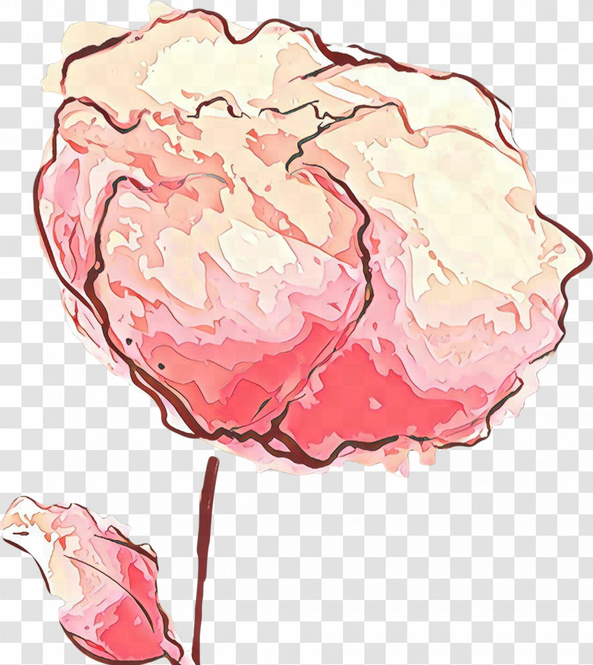 Pink Cut Flowers Flower Plant Common Peony Transparent PNG