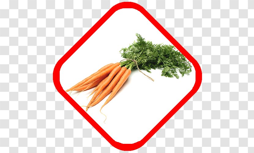 Carrot Food Vegetable Health Nutrition Transparent PNG