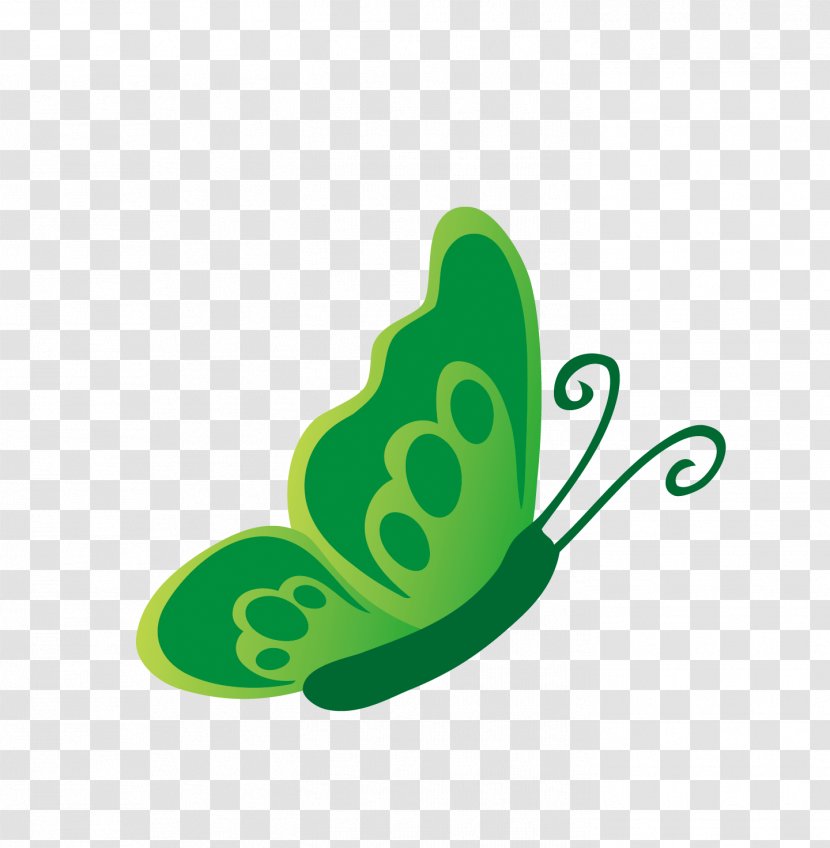 Butterfly Green Transparent PNG
